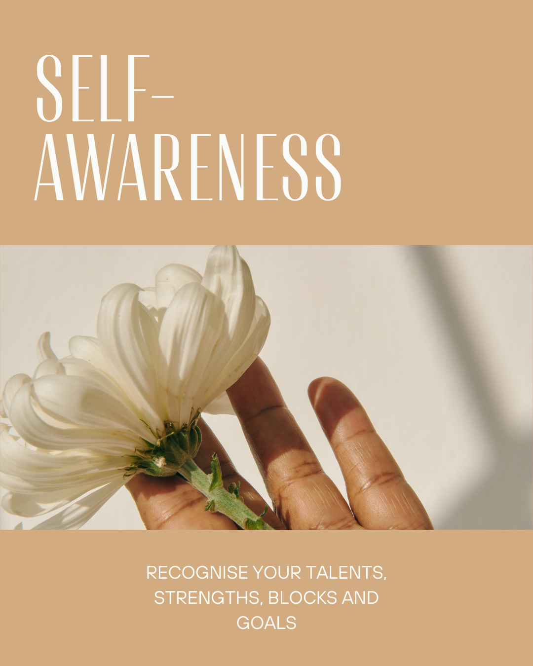 self-awareness