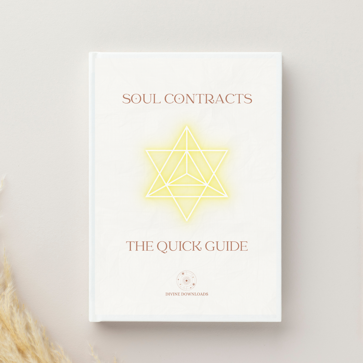 Soul Contract Quick Guide