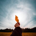 hand, leather, touch, fingers, leaf, nature, autumn, decrease, closeup, foliage, the sun, sky, yellow, coloring, goes away