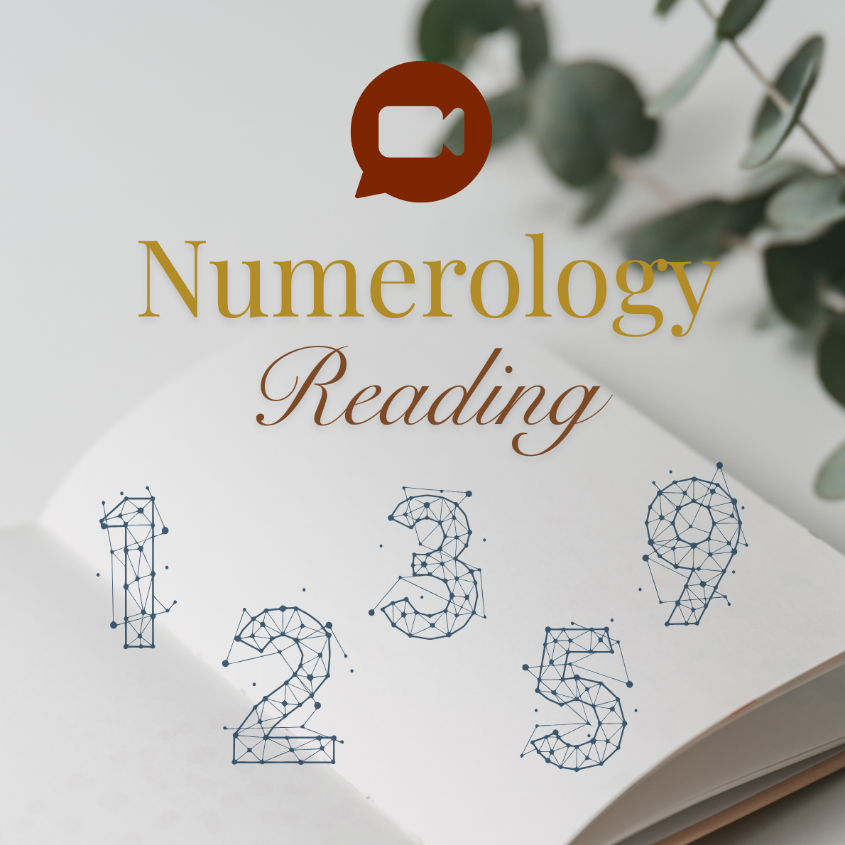 Pythagorean Numerology Reading – Live Session